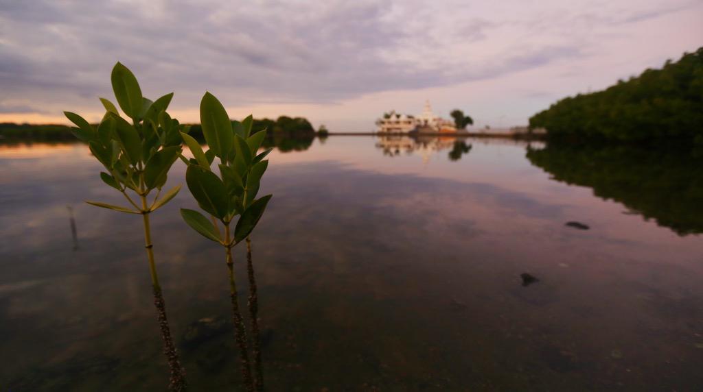 jensassmann's tweet photo. #Hindu temple after #sunset near #PostedeFlacq, #Mauritius http://t.co/WG80Ik15AF