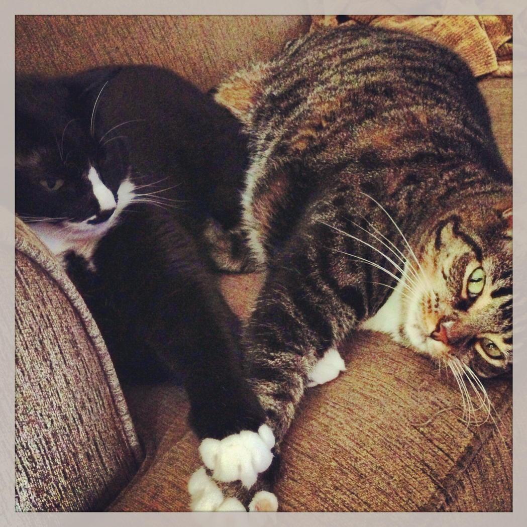 ChristianKilpat's tweet photo. My bums. http://t.co/uzI0uySKPi