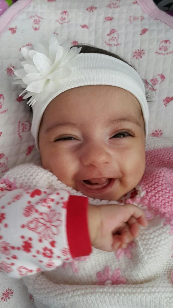 Halasının bitanesi