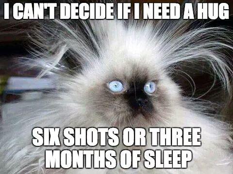 CharHorwell's tweet photo. This is about how I feel right now #longassdayatwork http://t.co/AiySkxk9gQ