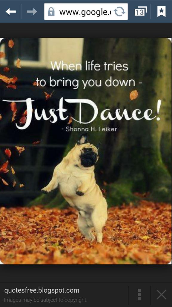 amici2009's tweet image. 