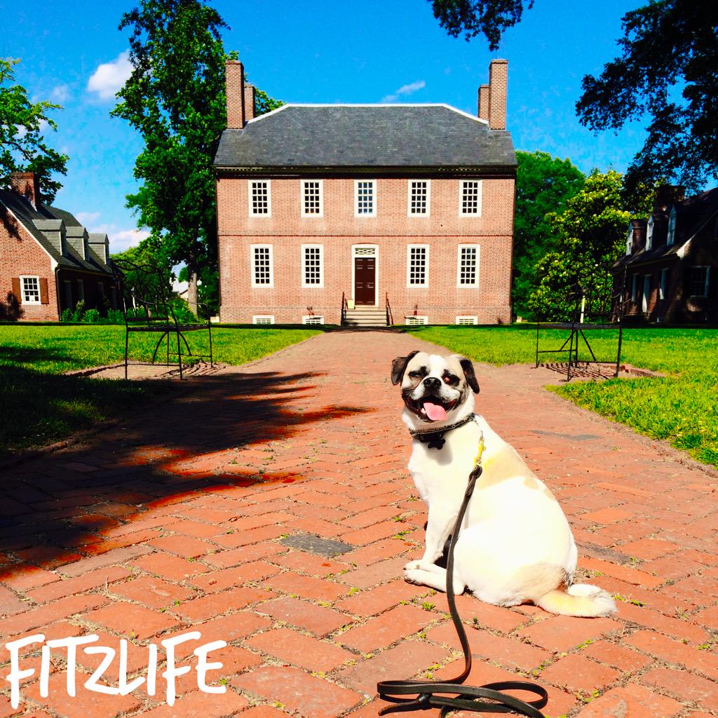 ChugglyFitz's tweet photo. Beautiful day today! http://t.co/l2ZmKVwMcU