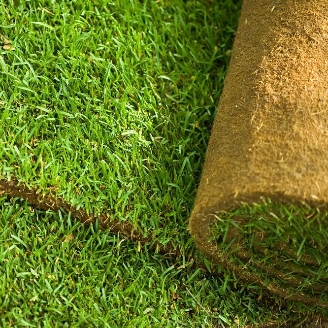 ~Postavljanje tepih trave~
#belgrade #gardening #gardens #grass #landscape #ozelenjavanje #zelenilo #trava