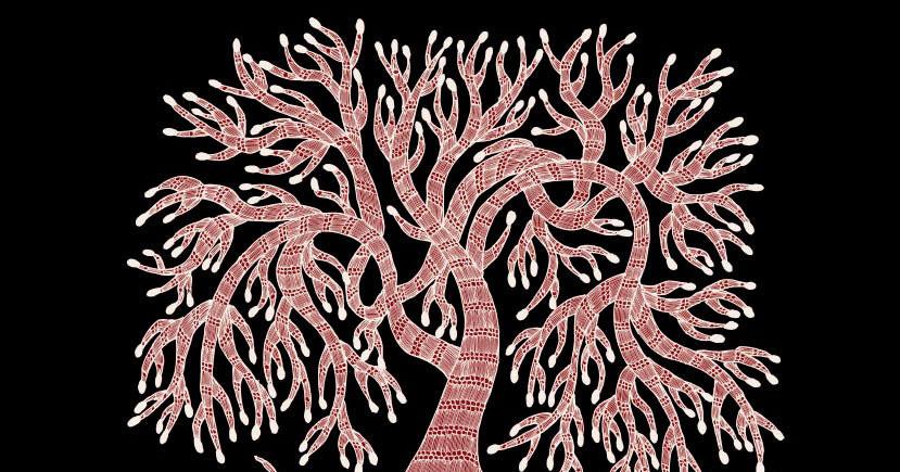 Happy birthday, Eve Ensler! Absolutely beautiful read on how trees bring us back to ourselves  