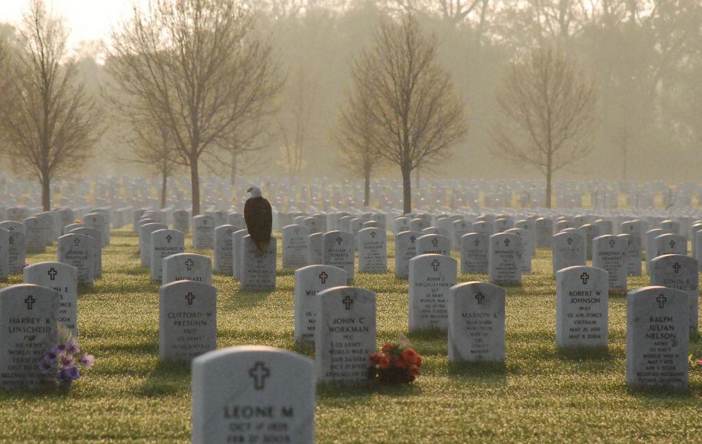 CW_America's tweet photo. Bald Eagle perched on a tombstone at Fort Snelling, MN http://t.co/dFVahFmets