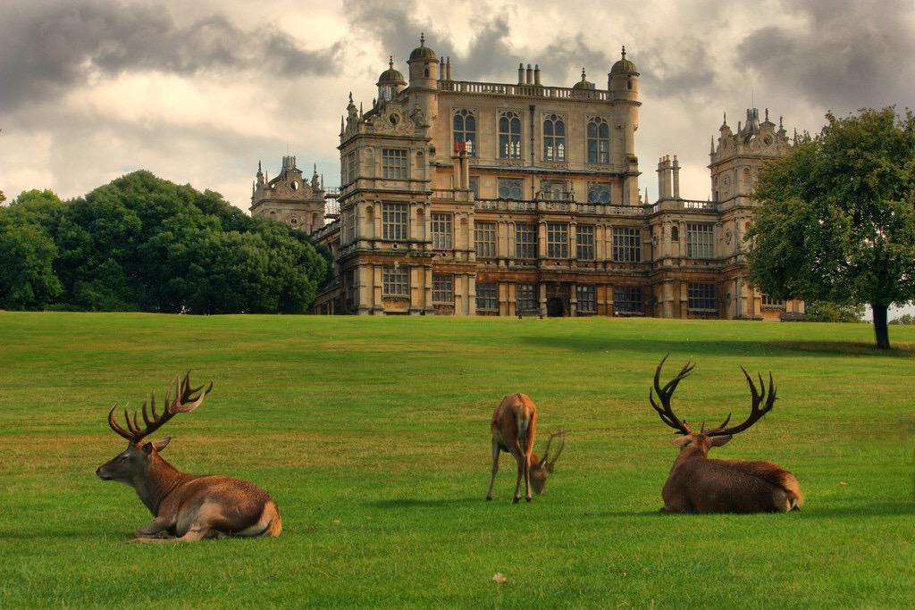 NSSCUK's tweet photo. #أماكن_لا_بد_من_زيارتها_في_بريطانيا
ولتون بارك wollaton park في نوتنجهام http://t.co/iYDo8vZnpu
