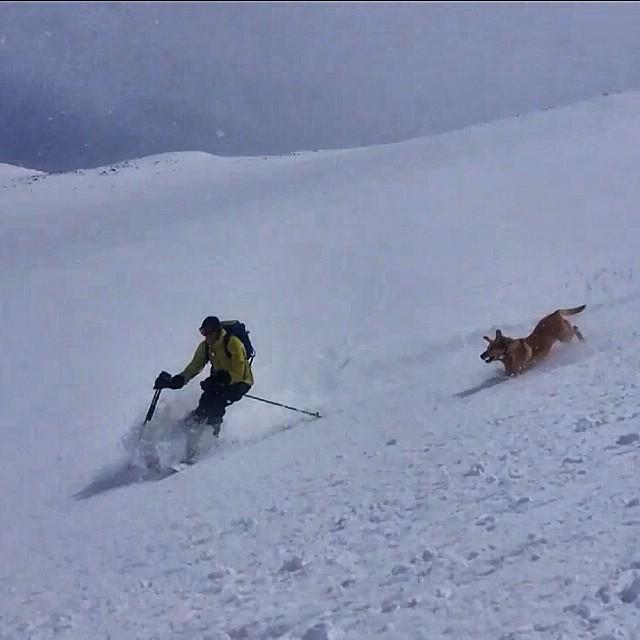 ColoradoHikes's tweet photo. Photo from drjonkedski How much fun is This? Fresh Powder on Memorial Day weekend! #mayuar… http://t.co/yuRsceJg1K http://t.co/hvTYwfs3GC