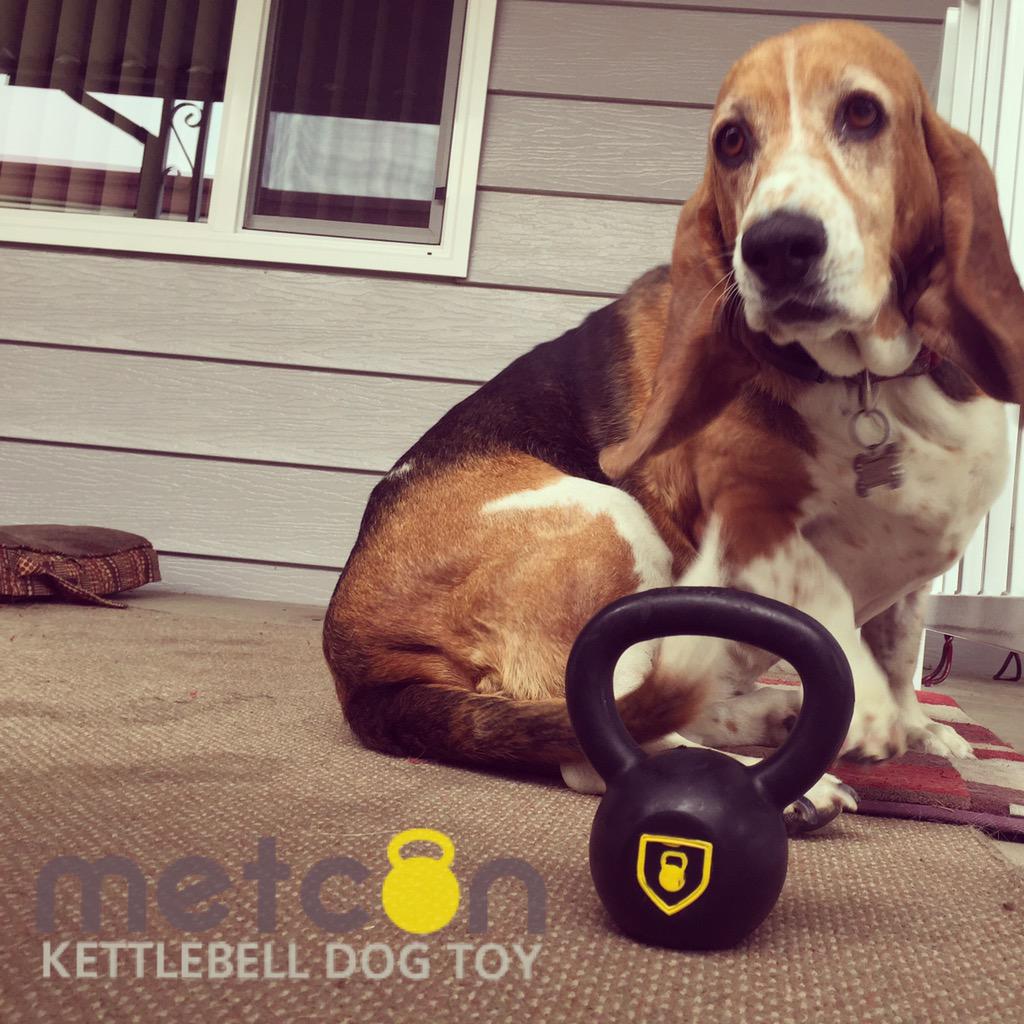 Metcon Pets tweet media