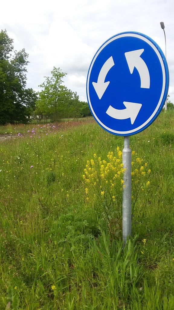 veenhj's tweet photo. Mijn camera maakte vanmiddag overuren op deze rotonde. Bloemenzee met minstens 30 soorten planten. #steenwijkerland http://t.co/joJlgHa0oT