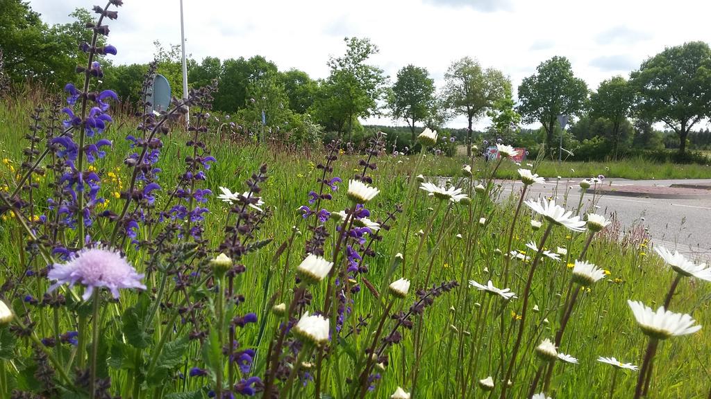 veenhj's tweet photo. Mijn camera maakte vanmiddag overuren op deze rotonde. Bloemenzee met minstens 30 soorten planten. #steenwijkerland http://t.co/joJlgHa0oT
