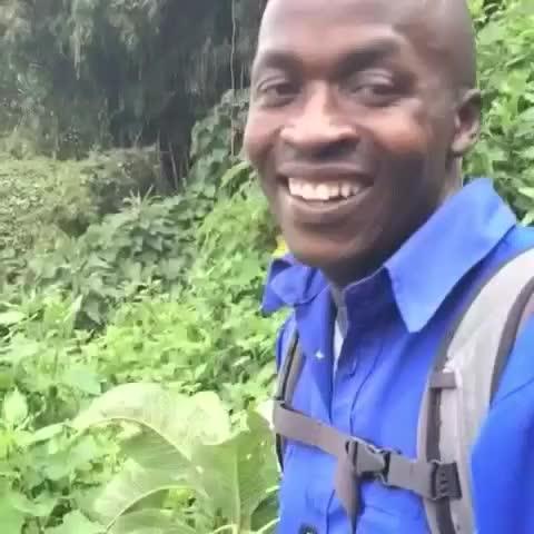 Behzinga's tweet image. Ancelotti sacked...