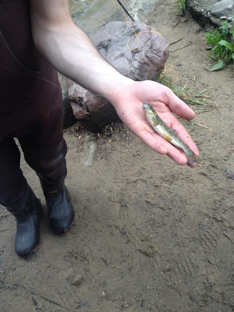 big_____rig's tweet photo. @deadtree_ trophy fisherman http://t.co/QTCkjbWdgD