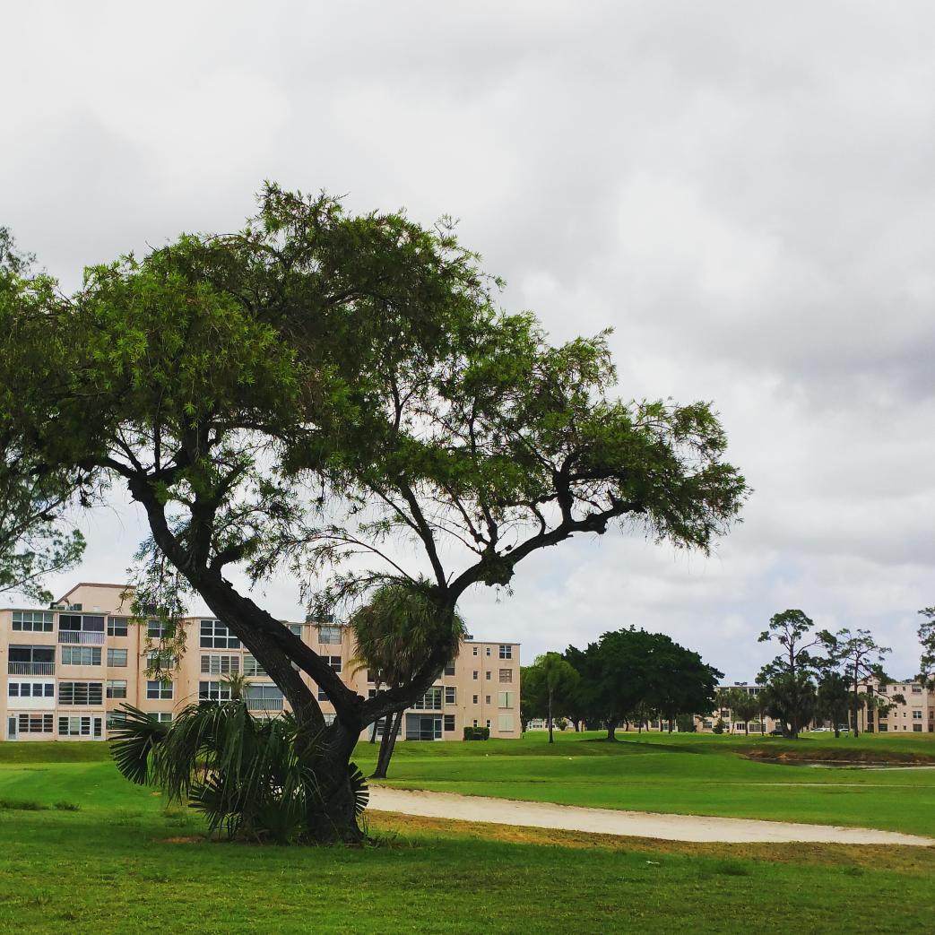 PCMPhones's tweet photo. Margate is chock-a-block with retirement communities like this one.  #fmneast #TampaBay http://t.co/Ze11A2RsLp