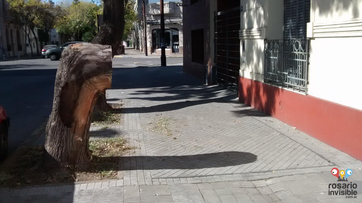 R_Invisible's tweet photo. ¿A dónde habrá querido entrar este árbol despistado?
http://t.co/nOSooDpzAI http://t.co/Uudwt0WN6N