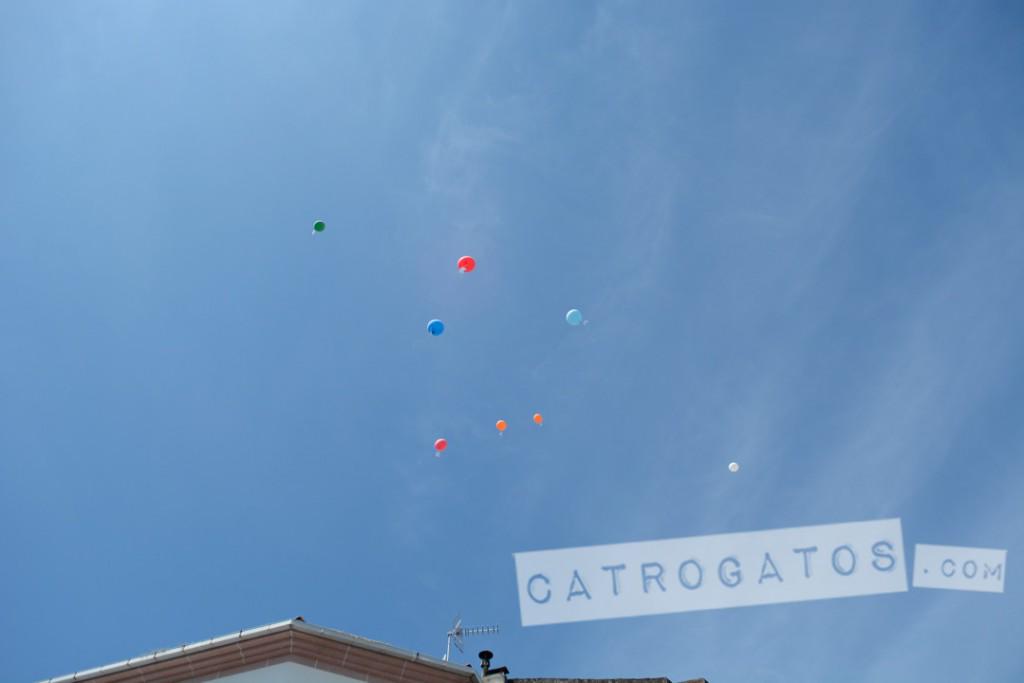 CATROGATOS_com's tweet photo. O Correlingua da Estrada convirteu a reivindicación do galego nunha auténtica festa 
http://t.co/WwZR7uTHY6 http://t.co/oSUkj4K8NP