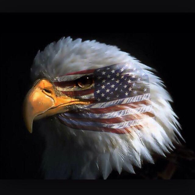 00Goalie's tweet photo. Happy Memorial Day!!! http://t.co/Veohf5Zkni