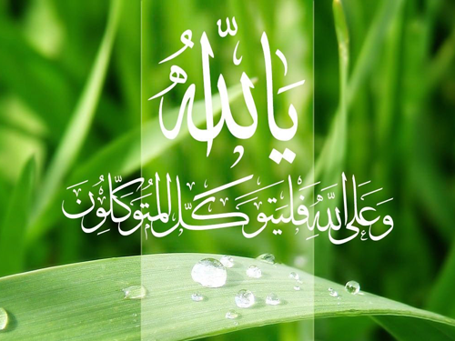 thisnewtoday4ar's tweet photo. كل يوم تعيشه هو : هدية من الله . . فلا تضيعه بالقلق من المستقبل أو الحسرة على الماضي، خذ بالأسباب وقل  توكلت على الله http://t.co/1TiIZJ10Am