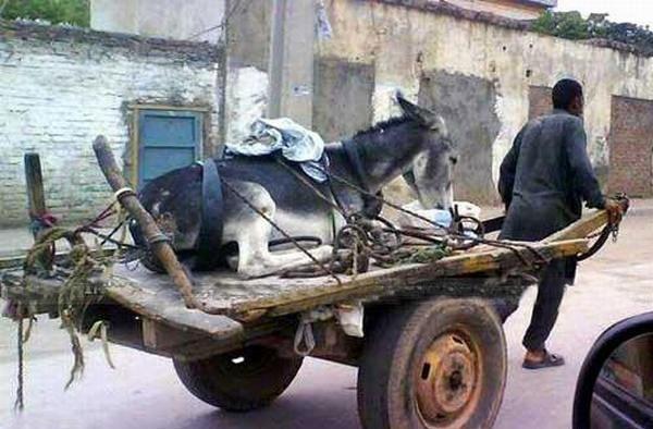 iam_masami's tweet photo. #Achedin Agaye, #Gappu365 #JantaKiCabinet #Feku http://t.co/IoTGEFUBOF