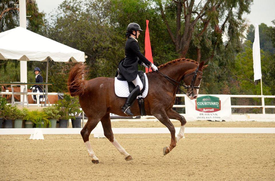 lindseyaschulz's tweet photo. Got my USDF gold medal this weekend at flintridge ! http://t.co/ttQg46MdS5