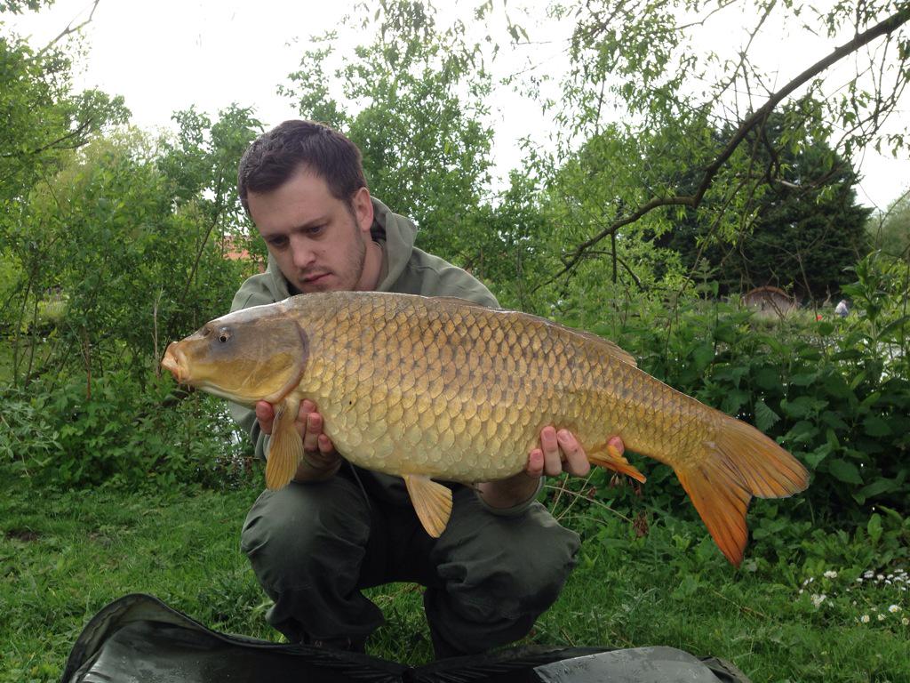 impactbaits's tweet image. 