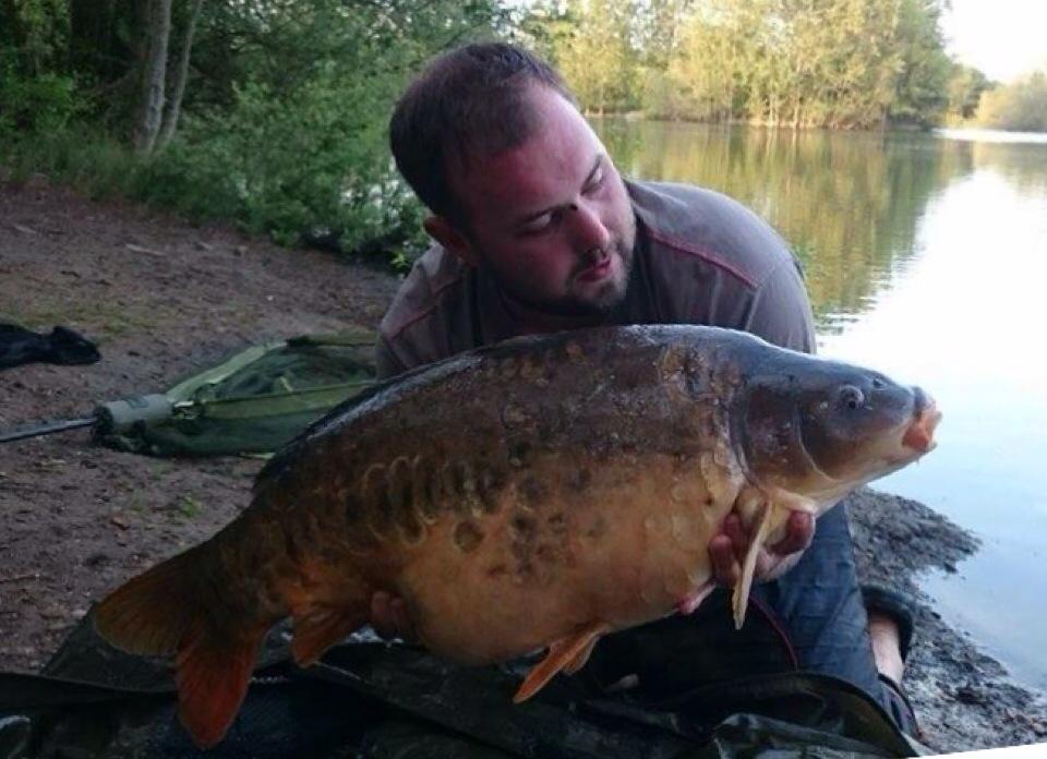 impactbaits's tweet image. 