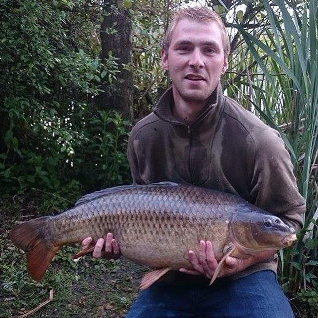 impactbaits's tweet image. 