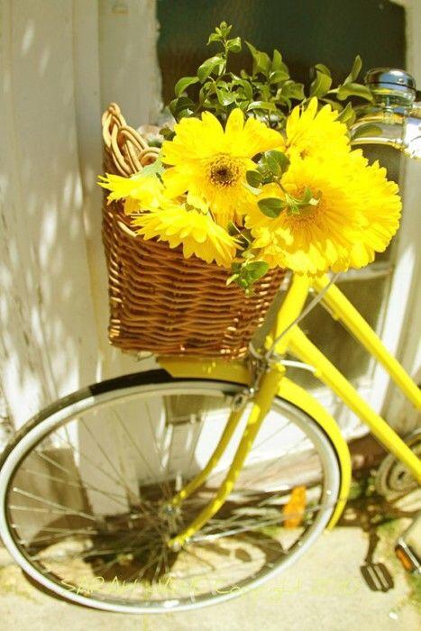 closetdemarimar's tweet photo. #LunesDe #Amarillo un color que no todo mundo sabe llevar .... Sólo las más bellas, bueno y las flores y etc et. http://t.co/ImmGDOURC2