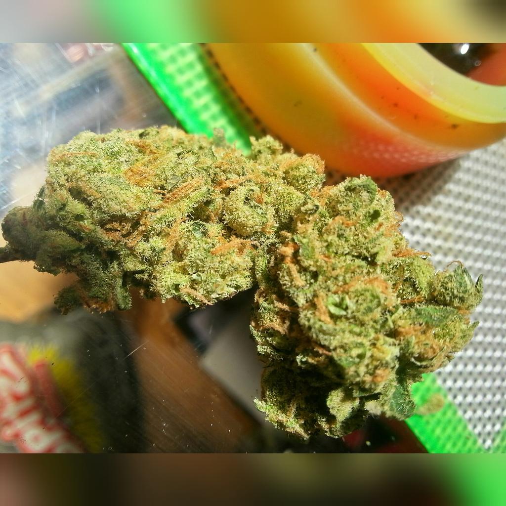 PrettyPotthead's tweet image. #Mazar from my work @GreenLightAlt1