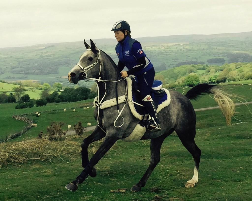 GHirst01's tweet photo. Surri enjoying a little canter on the hill @podiumzadel @PureFeed #loveit #feedpure http://t.co/VrYnM4twe5