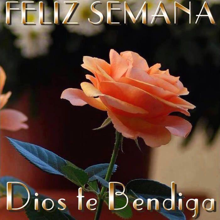 <a href="/abuelitalizz/">Liz Espinosa</a> <a href="/BengoleaL/">luisbengolea</a> <a href="/carolinallobet1/">carolina llobet</a> <a href="/RayoBarri/">Maria Del Rayo </a> @lupita967 @Andromeda816 <a href="/LilianaSnchez9/">Liliana Sánchez 🇦🇷♌🦁</a> <a href="/ClubdeMinnies/">@ClubdeMinnies®</a> Fdia🌷