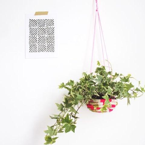ComfyDwelling's tweet image. 24 Cute And Space-Saving DIY Hanging Planters
comfydwelling.com/diy/24-cute-an…
#space_saving #DIY #hanging #planters
