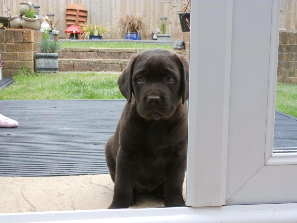gillfountain's tweet photo. I'm sorry I've just dug holes in the lawn http://t.co/KvtxefXnFG