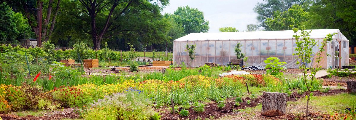 OrganicLife's tweet image. Five Reasons Small-scale Gardening Could Save the World bit.ly/1cWLdRj
  #Organic #NaturalHealth