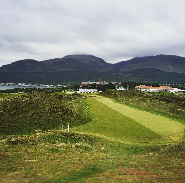 Punters Lounge Golf Betting Tips tweet media