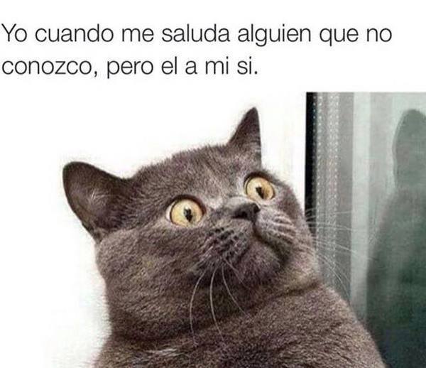 FabianaNavarr20's tweet photo. Jajajajaa @FaviiN Ciiertoo?? http://t.co/mhGJAt4N4L