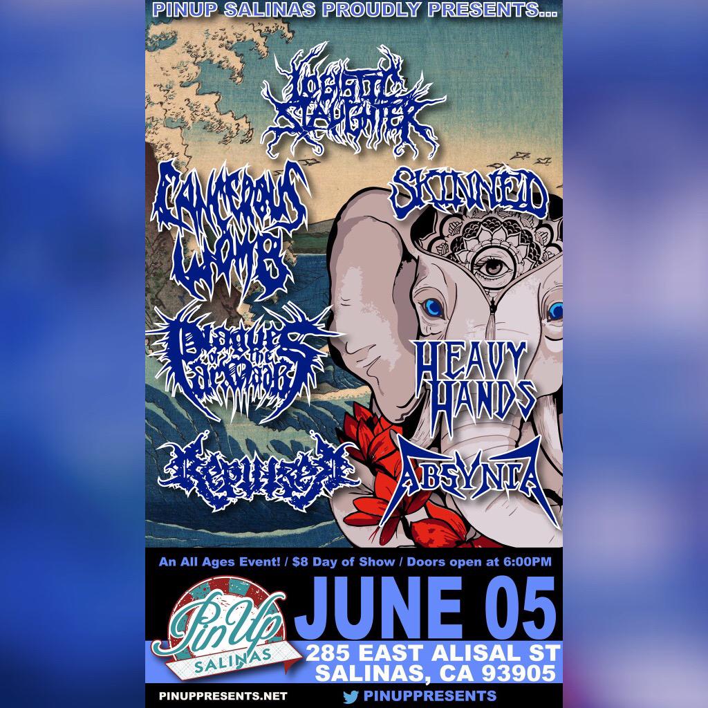 PinUpPresents's tweet photo. FRIDAY @ RBG ft. #logisticslaughter @CancerousWomb #Skinned #PlaguesOfTheArmada #HeavyHands #Repulser & #Absynia RT http://t.co/fs75nH6Wdo