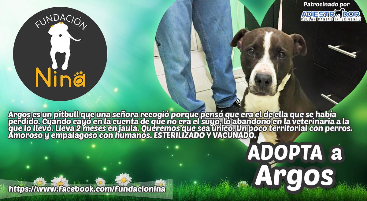 petpromex's tweet photo. #Adoptadog #adopta http://t.co/Yu6AvevTe7