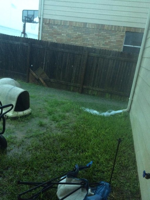 View image on Twitter View image on Twitter