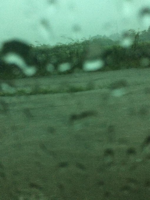 View image on Twitter View image on Twitter