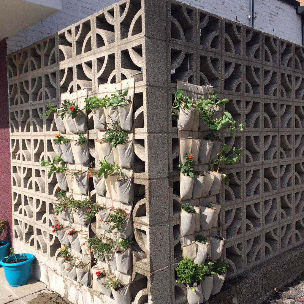 Going green at the cake shop