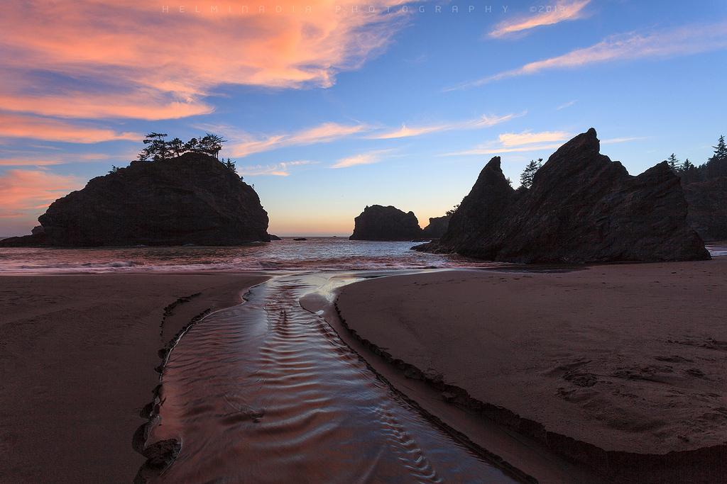 Zen Paisajes tweet media