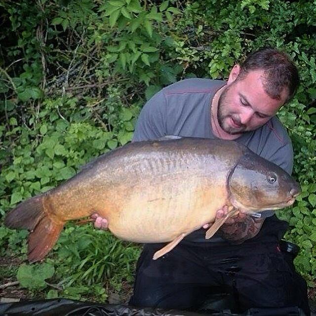 impactbaits's tweet image. 