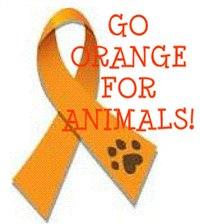 TJ_Kiwi's tweet photo. We have to be their voice #StopAnimalAbuse #GoOrangeForAnimals http://t.co/BIXOPY02Uy