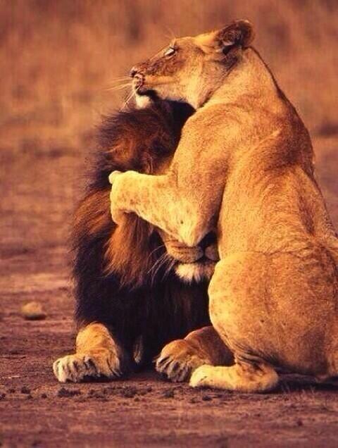 Every King needs his Queen