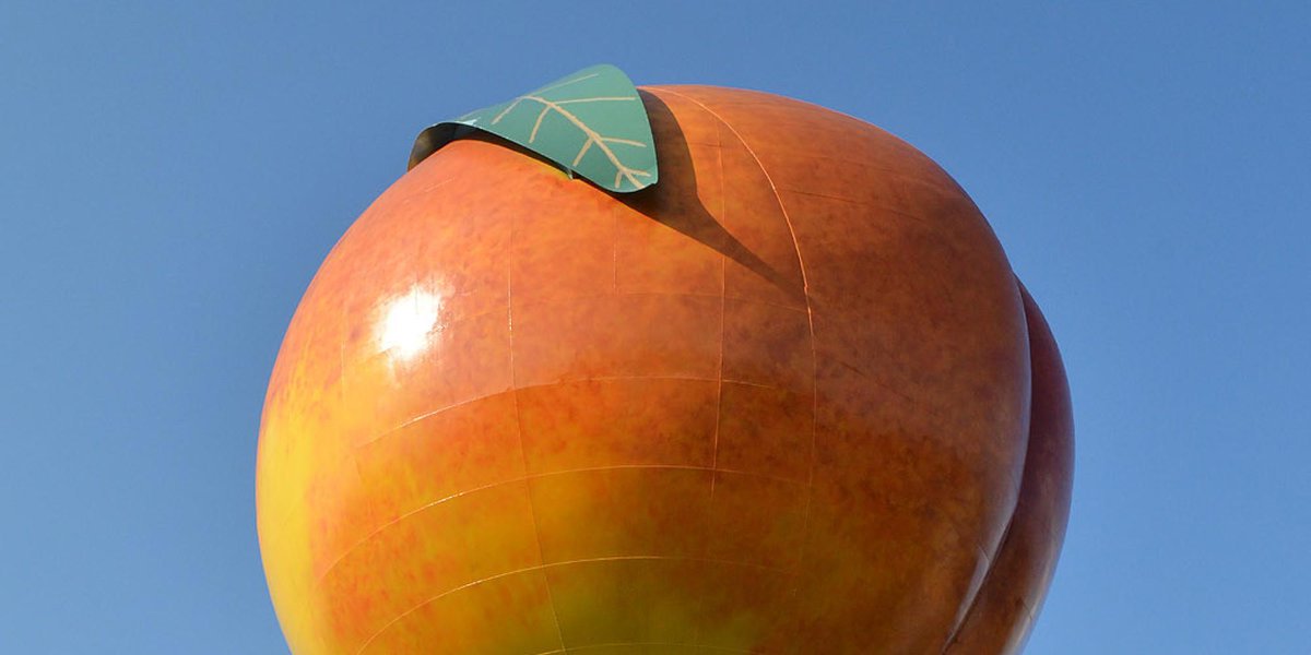 HuffPost's tweet photo. 19 things you must know before visiting South Carolina http://t.co/4gGTt17HGN http://t.co/FKm9crVW3g