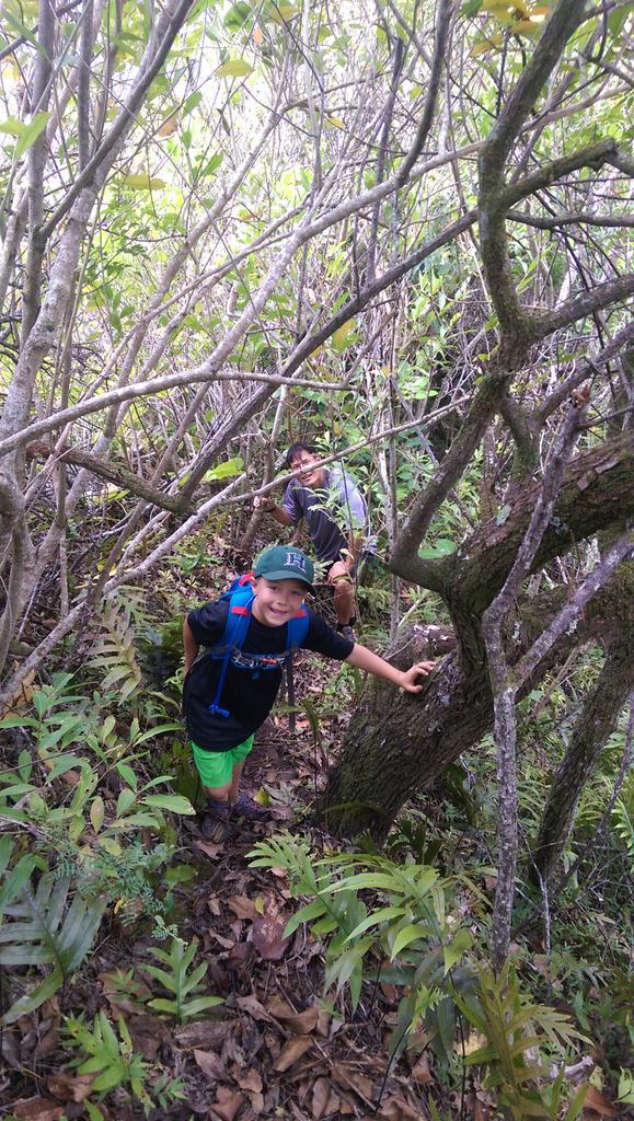 HopelessCacher's tweet photo. Sometimes the trail seems to disappear. Didn't stop us! @GoGeocaching http://t.co/frTcyWxbs6