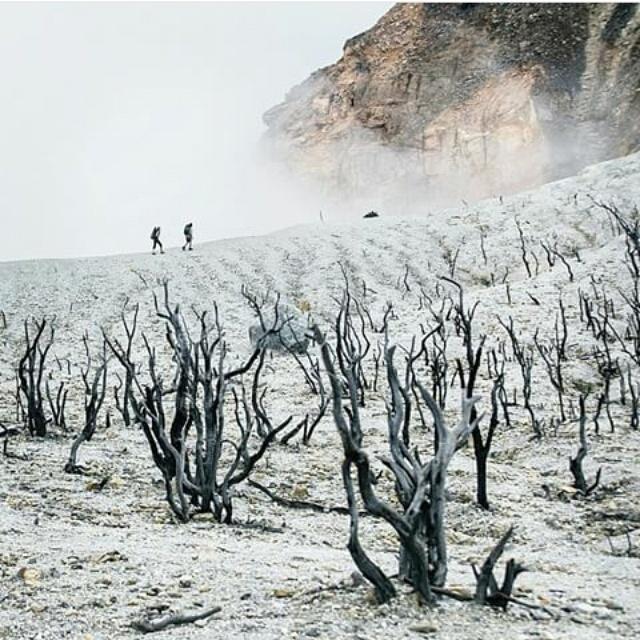 Saking pengennya kesini sampe kebawa mimpi -_- uuuuu!!!