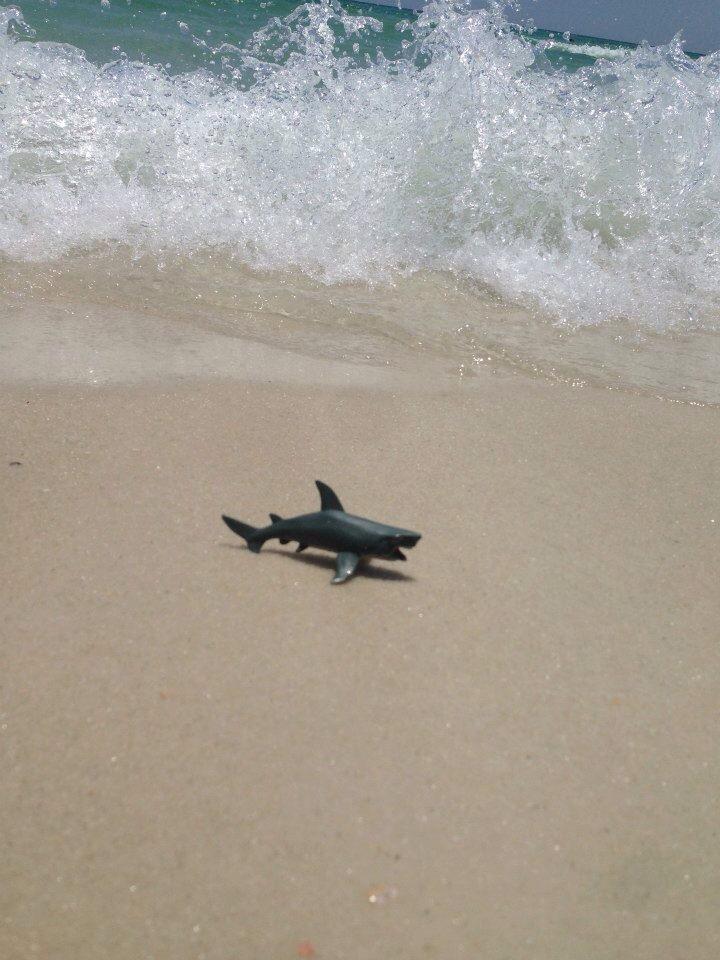 SuCoBruce's tweet photo. Missing the beach, but my tan is on point #suco2015 http://t.co/H7f4MkoUTr
