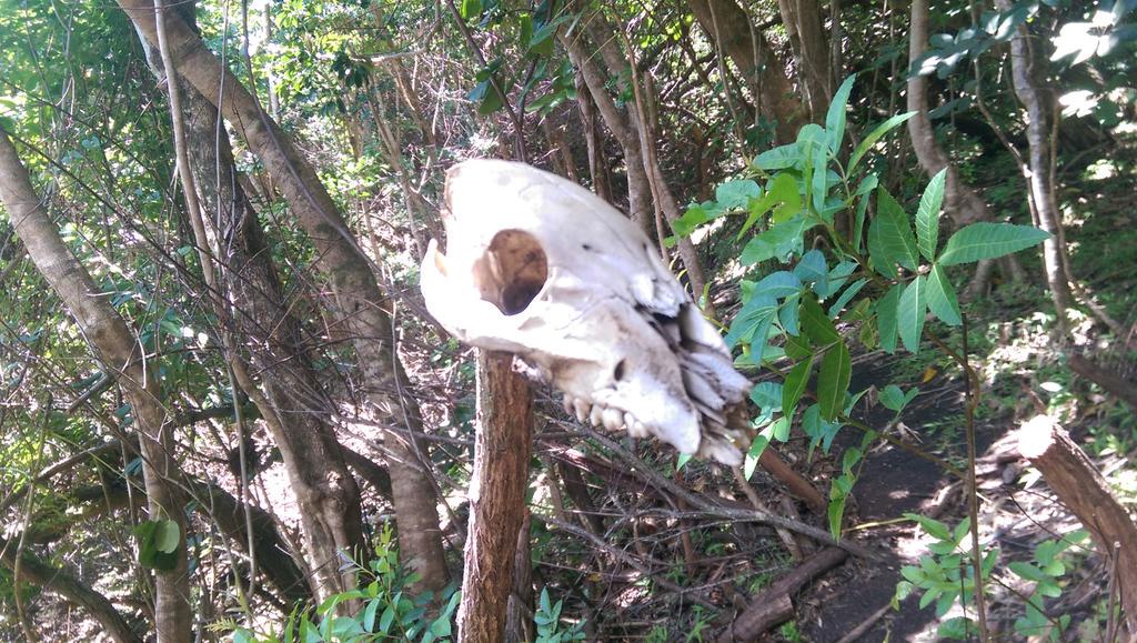 HopelessCacher's tweet photo. Pretty sure this means end of the trail....@GoGeocaching http://t.co/jkoYnUWAFi