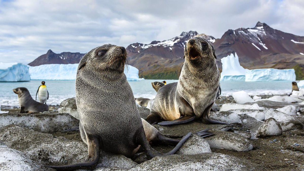 BBC_Travel's tweet photo. The world's must-visit #islands: https://t.co/16EKviYglF https://t.co/iCE5j0ZJHL